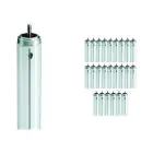 Voordeelpak 25x Philips TL-X XL 40W 33-640 - 118cm