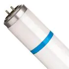 Philips TL - D MASTER Secura Actinic BL 15W - Blacklight | 44cm